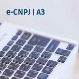 e-CNPJ | A3 Sem mídia